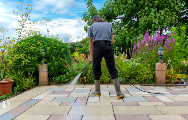 Best Animal Enclosure Cleaning  in West Kittanning, PA